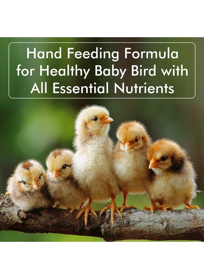 PET (Pci) Economic Nutri-Diet Hand Feeding Formula || Healthy Baby Bird With All Essential Nutrients || 500Grm - Image 2