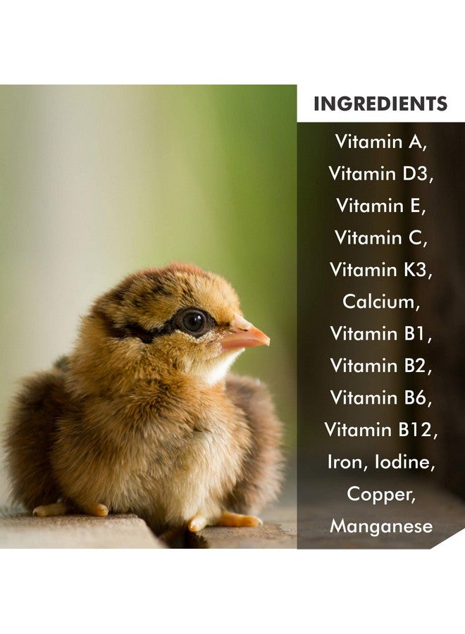PET (Pci) Economic Nutri-Diet Hand Feeding Formula || Healthy Baby Bird With All Essential Nutrients || 500Grm - Image 4