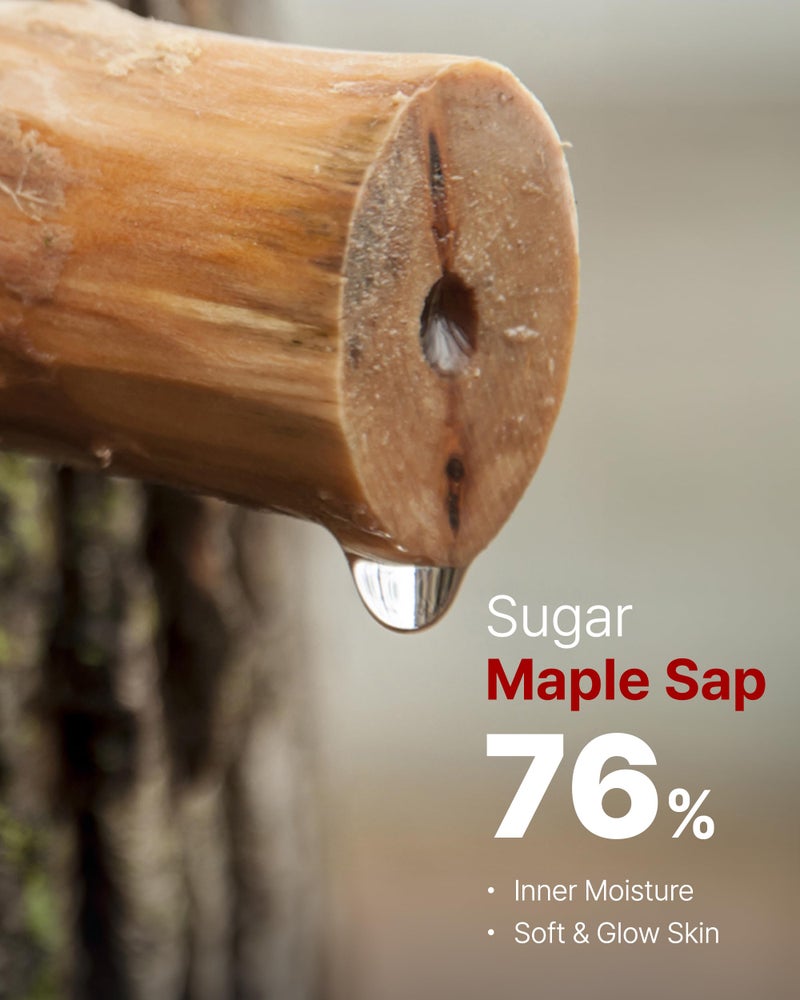 MAY COOP Moisture Essence Toner â€“ Korean Hydrating & Nourishing Skincare for Dry Sensitive Skin with Wildcrafted Centella Asiatica, Rice Water & Birch Bark â€“ Fast-Absorbing Texture â€“ 5.07 fl. oz. - Image 3