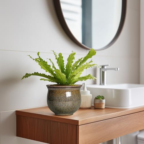 Teagas Self Watering Planters for Indoor Plants, 6 Inch Ceramic African Violet Pots with Absorbent Inner Pot, Ceramic Plant Pot, Round Flower Pots, Bathroom Decor, Housewarming Gifts, Yellowish Brown - Image 5