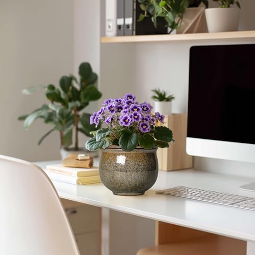 Teagas Self Watering Planters for Indoor Plants, 6 Inch Ceramic African Violet Pots with Absorbent Inner Pot, Ceramic Plant Pot, Round Flower Pots, Bathroom Decor, Housewarming Gifts, Yellowish Brown - Image 3