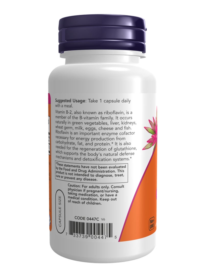 ناو فودز فيتامين B2 بتركيز 100 مليجرام - 100 كبسولة - Image 3