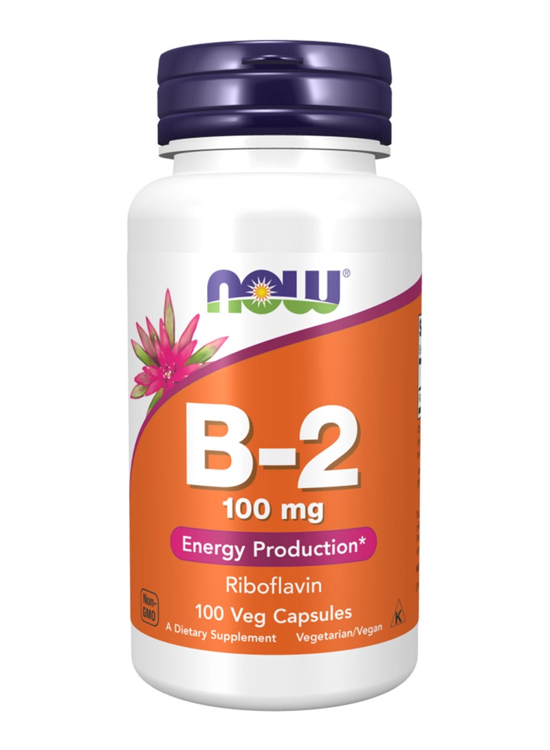 ناو فودز فيتامين B2 بتركيز 100 مليجرام - 100 كبسولة - Image 1
