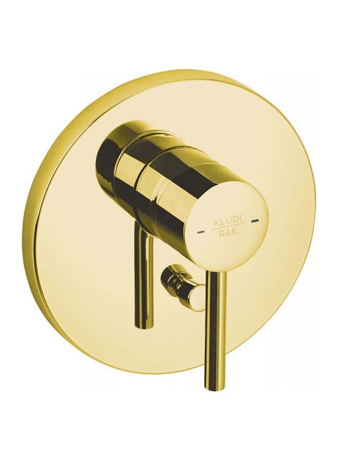 كلودي خلاط بانيو دفن ذهبي RAK-13075 - Image 1