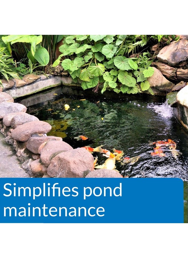 ايه بي آي API POND ECOFIX SLUDGE DESTROYER منظف البكتيريا، وتنقية مياه البرك، ومعالجة إزالة الرواسب، زجاجة سعة 16 أونصة  - Image 2
