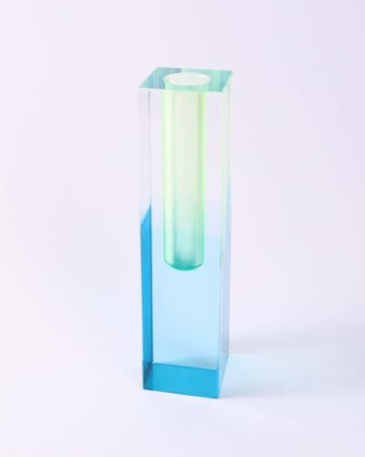 HLYU Acrylic Vase, Bud Vase for Centerpieces, Maximalist Decor Cute Flowers Vases for Modern Home, Office, Bedroom, Living Room, Dining Table (Fluorescent Green, Sky Blue) - Image 5