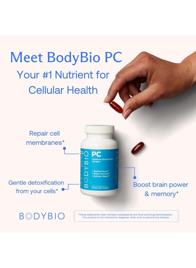 BodyBio Phospholipid Complex 100 Softgels - Cognitive Enhancer - Healthy Brain, Anti Aging and Cellular Support Supplement - Image 3