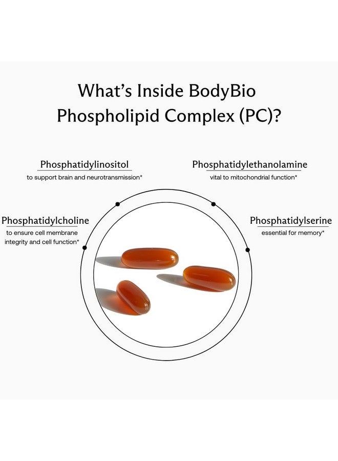 BodyBio Phospholipid Complex 100 Softgels - Cognitive Enhancer - Healthy Brain, Anti Aging and Cellular Support Supplement - Image 5