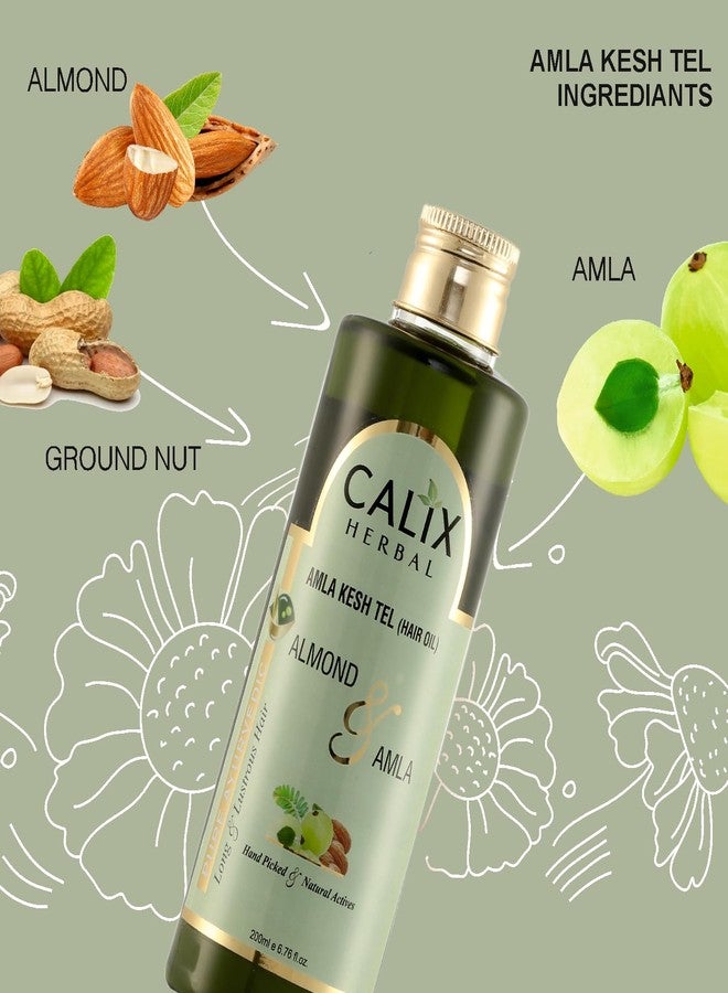 كلاليكس هيربال زيت كاليكس هيربال أملا كيش للشعر 200 مل + حناء مهندي 100 جم + بلسم للشعر (مع الحناء) 200 مل + شامبو منظف للشعر بالأملا 200 مل - مجموعة متكاملة للعناية بالشعر للرجال والنساء وجميع أنواع الشعر - Image 5