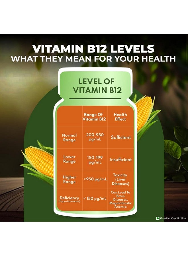 Nutrela Vitamin B12 Biofermented Plant Based Supplement for Men & Women with Moringa and Aloevera Extract - 30 Veg Capsules - Image 5