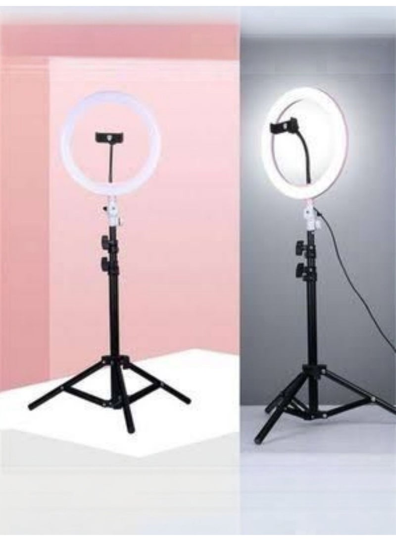 Ring Light Selfie Ring Light 26cm, Dimmable LED Ring Light with 2m Adjustable Metal Tripod Stand, Phone Holder, 3 Lighting Modes, 5 Brightness Levels, for Live Streaming, Makeup, YouTube, TikTok, Photography - Image 2