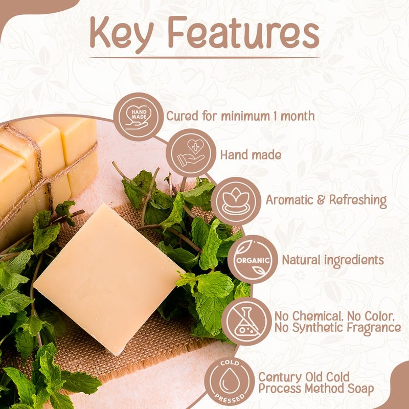Naturalis Spearmint Oil Soap Bar - Cold Pressed Organic Soap with Spearmint Essential Oil - Handmade Luxury Soap for Deep Nourishment, Hydration, and Gentle Cleansing, Ideal for All Skin Types (100g) - Image 2