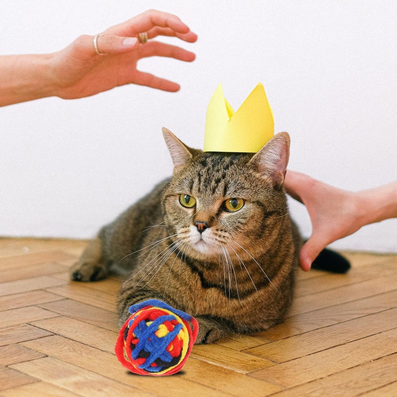 4 Pcs Interactive Cat Toys Ball With 40cm Polyester Rope Tail Teaser For Kitten Indoor Play Assorted Color - Image 5