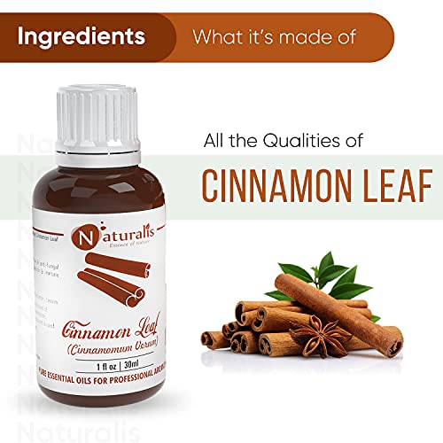 Naturalis Cinnamon Oil - Organic Cinnamon Essential Oil for Aromatherapy, Skin Care & Hair Growth - Therapeutic Grade Natural Oil for Relaxation & Wellness - 30ml - Image 3