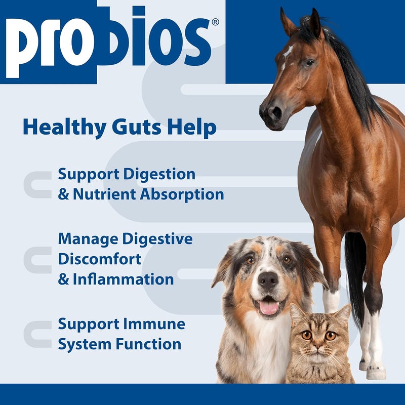 Probios Vet Plus Dispersible Digestive Powder for All Species - 240g - Image 3