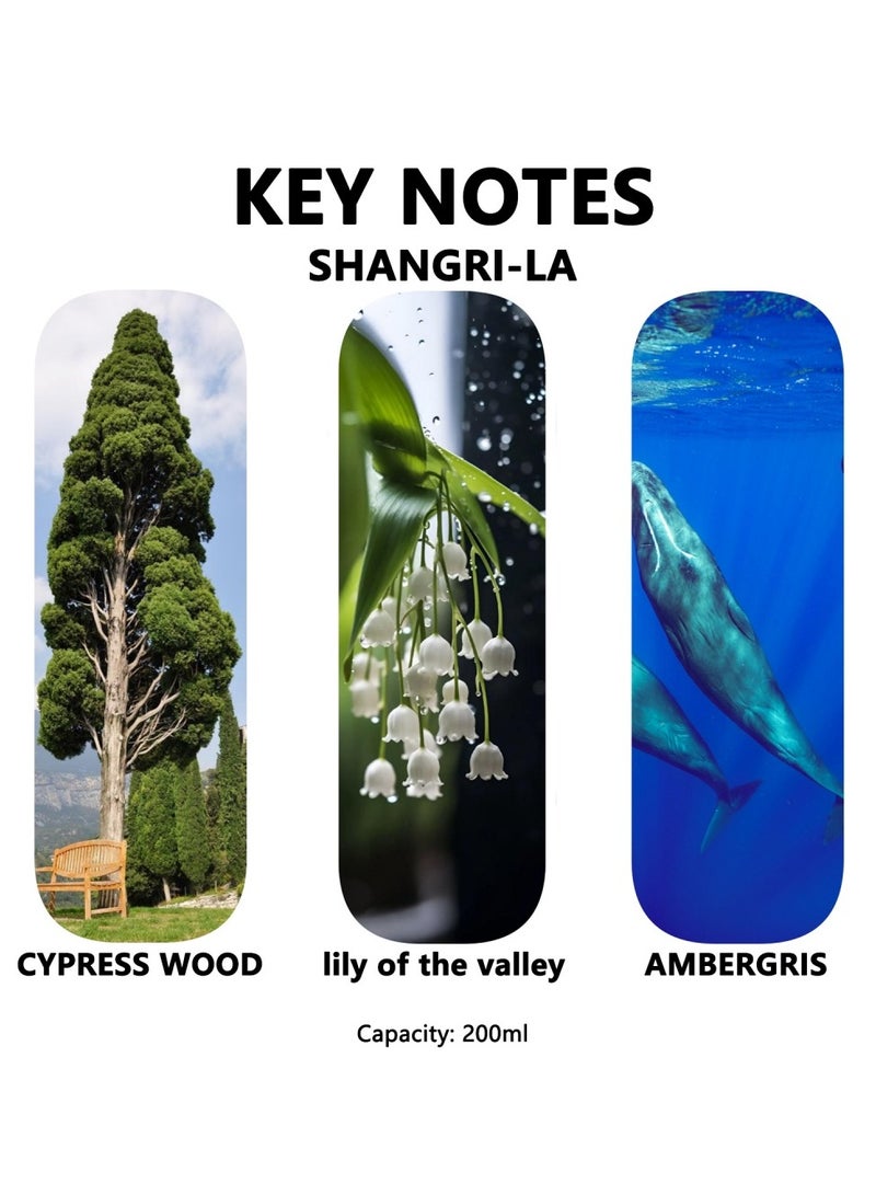 سان هان مجموعة معطرات الجو من القصب سعة 200 مل: معطرات جو بمزيج من شانغريلا، معطرات جو تدوم طويلًا، للمنزل، غرفة النوم، الحمام، المكتب (تركيز 10%) - Image 3