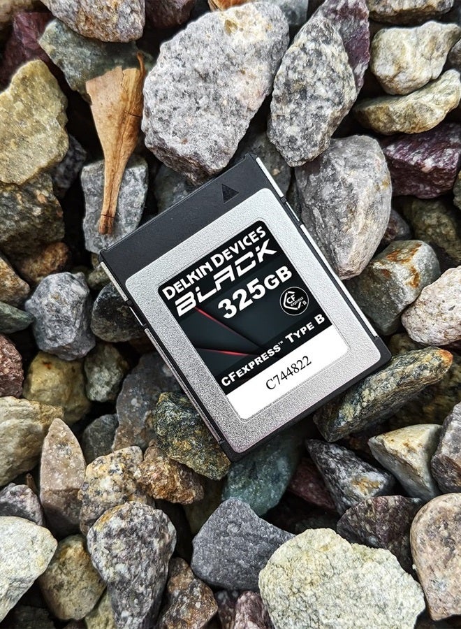 Delkin بطاقة ذاكرة DELKIN Devices 325GB CFEXPRESS نوع B سوداء - Image 3