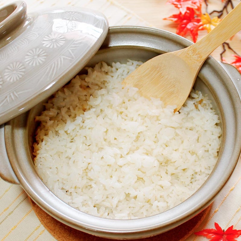 TIKUSAN Donabe Japanese Hot Pot Banko Ware Made in Japan (6 go(30 fl oz.)) - Image 4