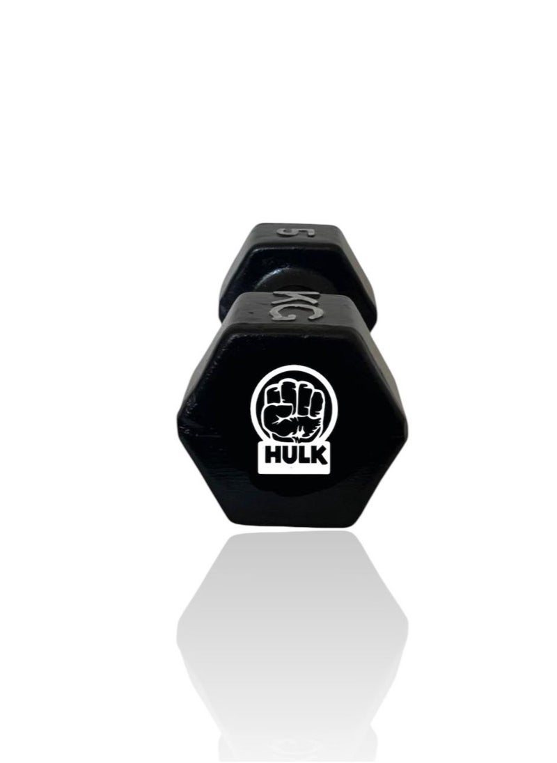 HULK Dumbbell Set 5KG - Solid Shiny Rubber (2 Pieces) - pzsku/Z04ED70654F1E033505BCZ/45/_/1740413975/b63a1946-eb9c-4242-8ff5-655662f9945e