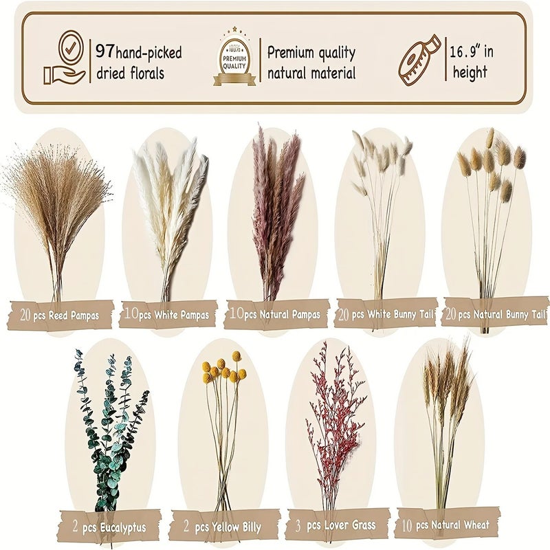 Bluejw Colorful Pampas Grass Bouquet - High Quality Dried Flowers for Home Decor, Crafts & Christmas Event Decorations (Dried Plants Included) - Image 4