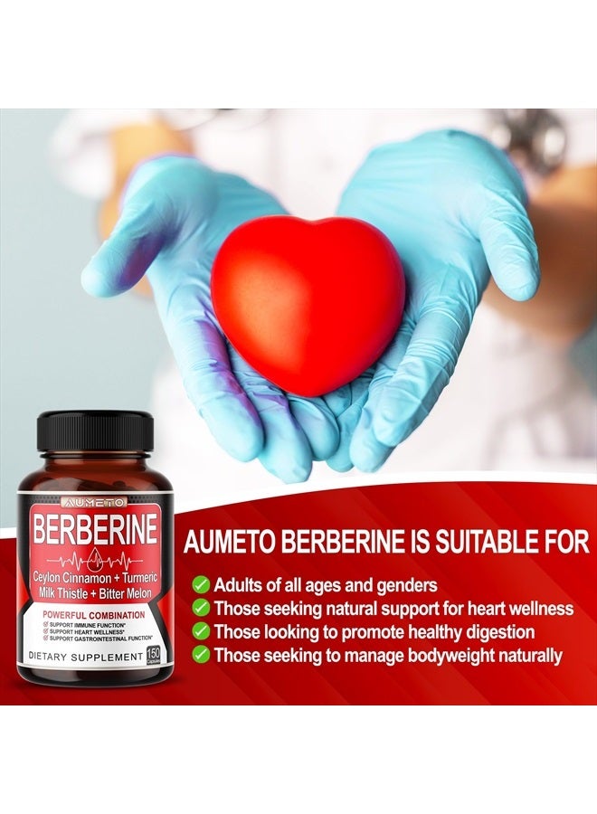 AUMETO مكمل بيربرين - معزز بالقرفة السيلانية، الكركم، حليب الشوك، البطيخ المر لدعم الهضم، المناعة وإدارة الوزن (150 حبة (عبوة واحدة)) - Image 4