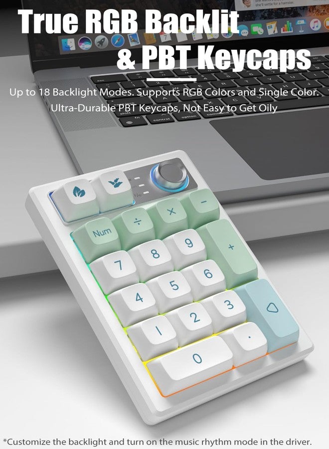 TISHLED Gasket Creamy Mechanical Numpad Programmable Macro Keypad Wireless 2.4G/Bluetooth 5.0/Wired USB-C RGB Backlit Hot Swappable Number Pad Rechargeable Numeric Keyboard Metal Knob for Win/Mac - Image 5