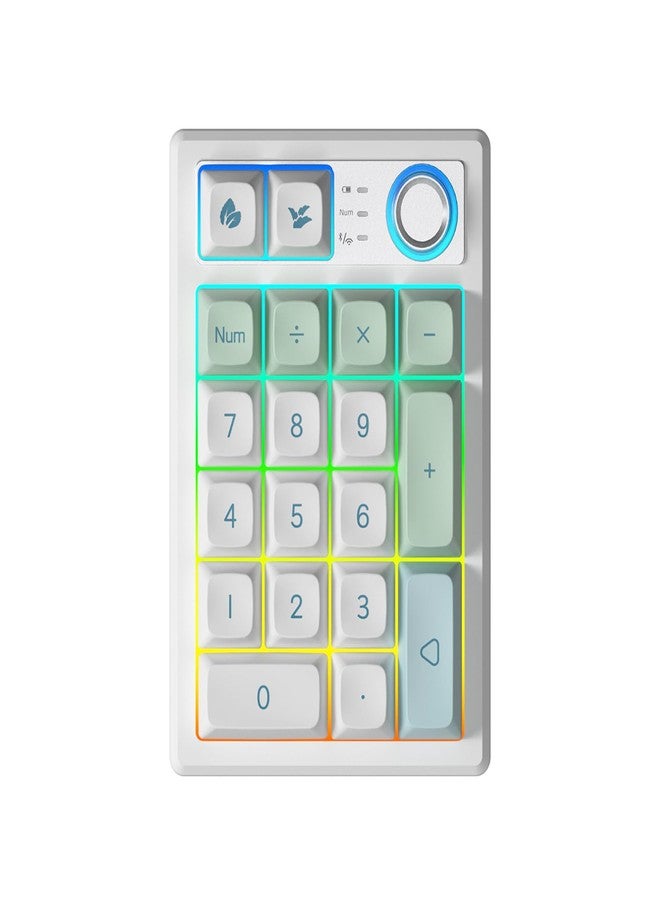 TISHLED Gasket Creamy Mechanical Numpad Programmable Macro Keypad Wireless 2.4G/Bluetooth 5.0/Wired USB-C RGB Backlit Hot Swappable Number Pad Rechargeable Numeric Keyboard Metal Knob for Win/Mac - Image 1