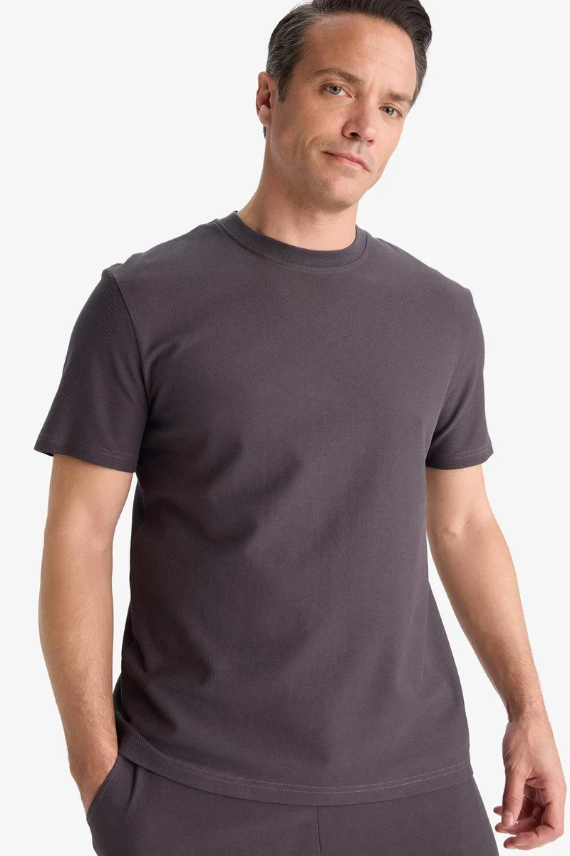DeFacto Cotton Regular Fit Crew Neck Heavy Fabric T-Shirt