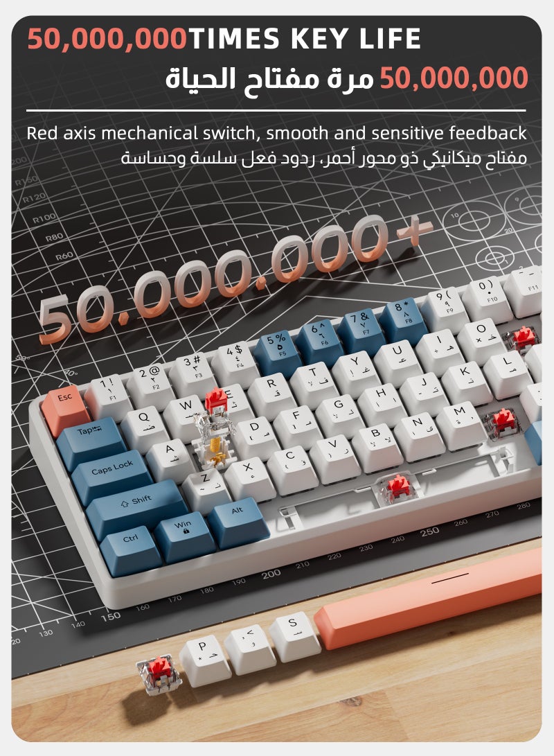 Pc/Ps4 61 Keys Red Switch Mechanical Gaming Keyboard, With Arabic Language Gaming Keyboard, Hot-Swappable, 16.8 Million Colors Backlit, 60% Mini  , Removable Usb Wired, 525g Weight, All Keys Without Conflict Silent Rgb Color Suitable For Pc/Ps4/Xbox Gamers Mac White - Image 5