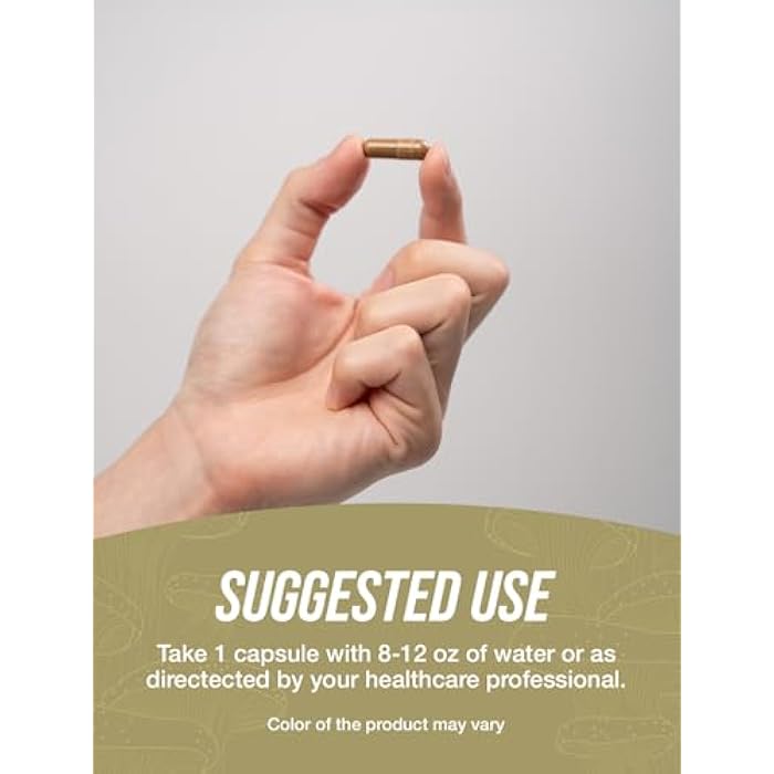 BulkSupplements.com Cordyceps Mushroom Capsules - Cordyceps Extract, Cordyceps Sinensis - Gluten Free, 1 Capsule per Serving (200mg), 240 Veg Capsules (Pack of 1) - Image 4