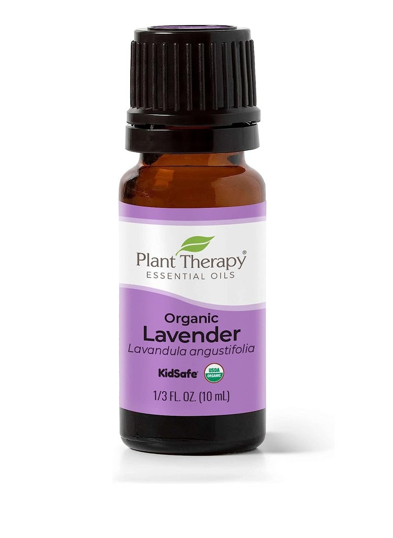 Plant Therapy Plant Therapy Organic Lavender Essential Oil 100% Pure, USDA Certified Organic, Undiluted, Natural Aromatherapy, Therapeutic Grade 10 mL (1/3 oz)  - Image 1