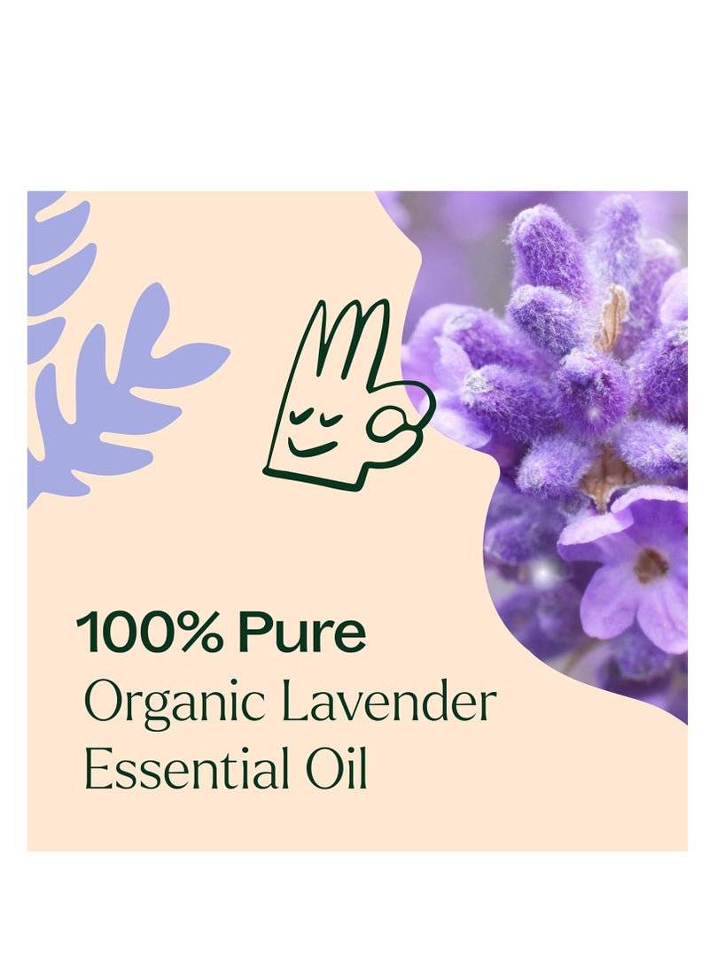 Plant Therapy Plant Therapy Organic Lavender Essential Oil 100% Pure, USDA Certified Organic, Undiluted, Natural Aromatherapy, Therapeutic Grade 10 mL (1/3 oz)  - Image 2