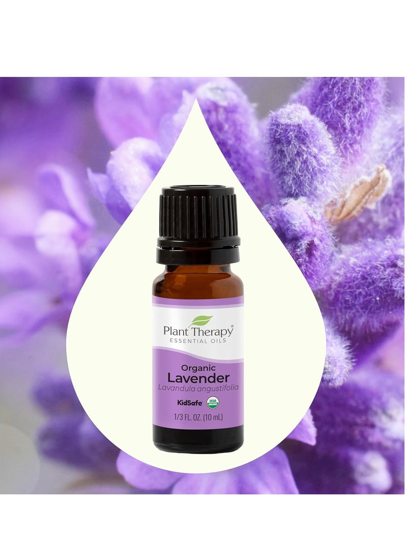Plant Therapy Plant Therapy Organic Lavender Essential Oil 100% Pure, USDA Certified Organic, Undiluted, Natural Aromatherapy, Therapeutic Grade 10 mL (1/3 oz)  - Image 5