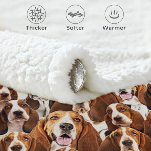 BlessLiving Bassett Hound Blanket Throw Fuzzy Dog Soft Blanket for Kids Girls Adults Women Cute Puppy Fleece Blanket Animal Pattern Sherpa Plush Blanket (50 x 60 Inches) - Image 5