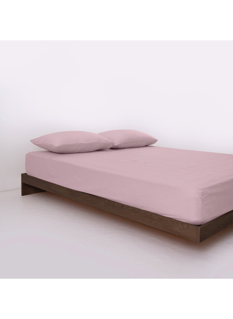BedNHome Fitted Bed Sheet Set, 100% Egyptian Cotton, 250Tc, Kashmir ,2Pillowcases. 200X200Cm  - Image 1