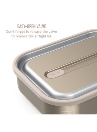 Stainless Steel Leak Proof Lunch Box - Rose Gold - pzsku/Z04F9F61E5BEC5E6AC5A7Z/45/_/1728054150/df4537cf-2be3-46f2-bbc9-a38467eefea5