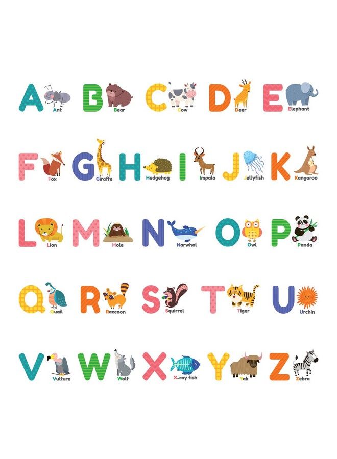 Decowall Ds8014 Colourful Animal Alphabet Abc Kids Wall Stickers Wall Decals Peel And Stick Removable Wall Stickers For Kids Nursery Bedroom Living Room (Small) Décor - Image 1