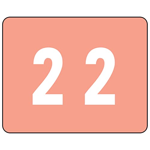Smead Color-Coded Numeric 2, Label Sheet, Pink, 500 per Roll (67342) - Image 4