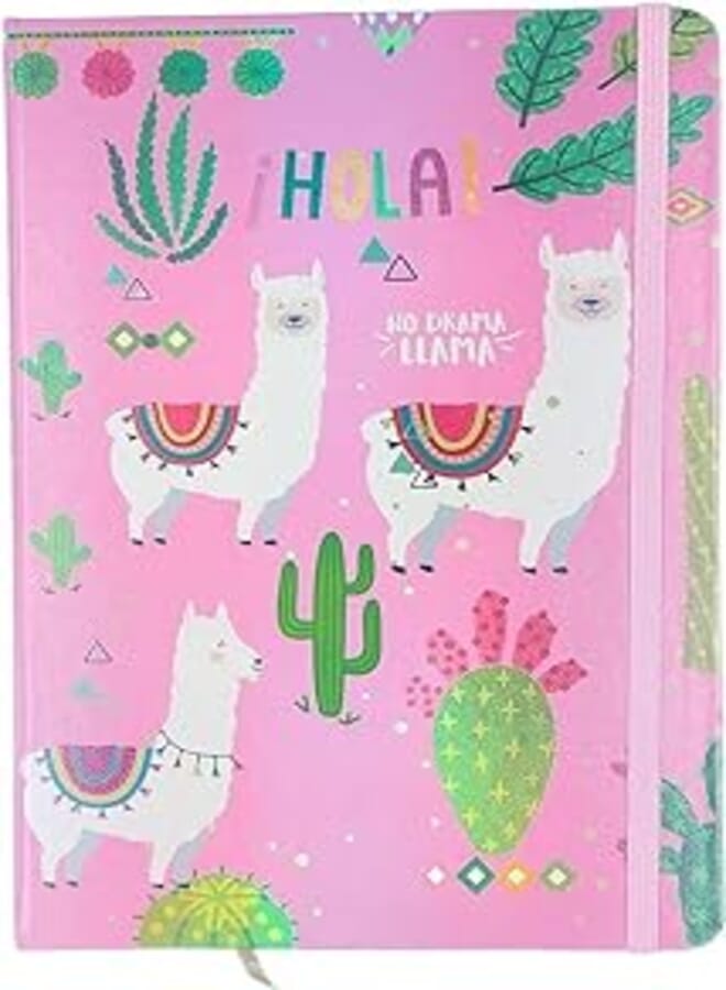 HardCover Cactus Notebook/with green elastic Band & 10-Pieces Staedtler 430 1.0 mm Blue Pens