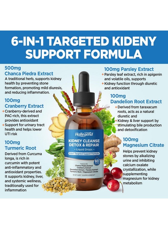 HOLLEGEND Kidney Cleanse Detox & Repair Liquid Drops, Kidney Support Supplement Enhanced with Chanca Piedra, Cranberry, Dandelion, Parsley, Turmeric Root, Magnesium Citrate, 2 Fl Oz - Image 3
