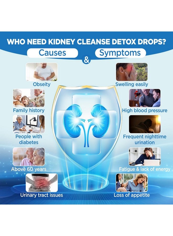 HOLLEGEND Kidney Cleanse Detox & Repair Liquid Drops, Kidney Support Supplement Enhanced with Chanca Piedra, Cranberry, Dandelion, Parsley, Turmeric Root, Magnesium Citrate, 2 Fl Oz - Image 5