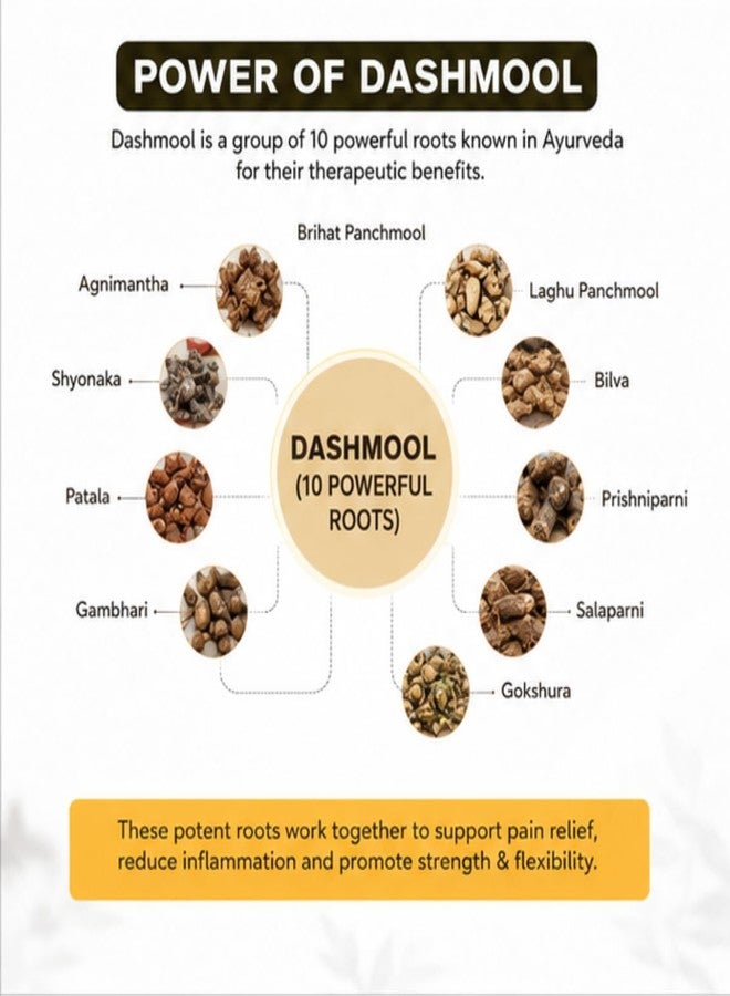 Bharat Ayurvedic Aushadhalaya Dashmool Ghanvati Pack of 2 | Each 100tabs | Bone & Joint Wellness - Image 4