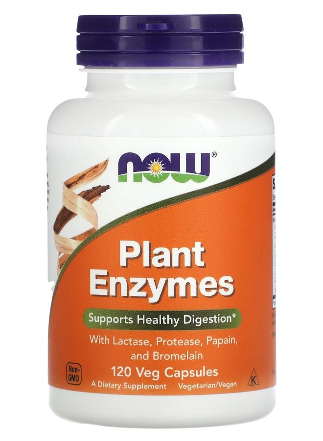 now Plant Enzymes 120 Veg Capsules