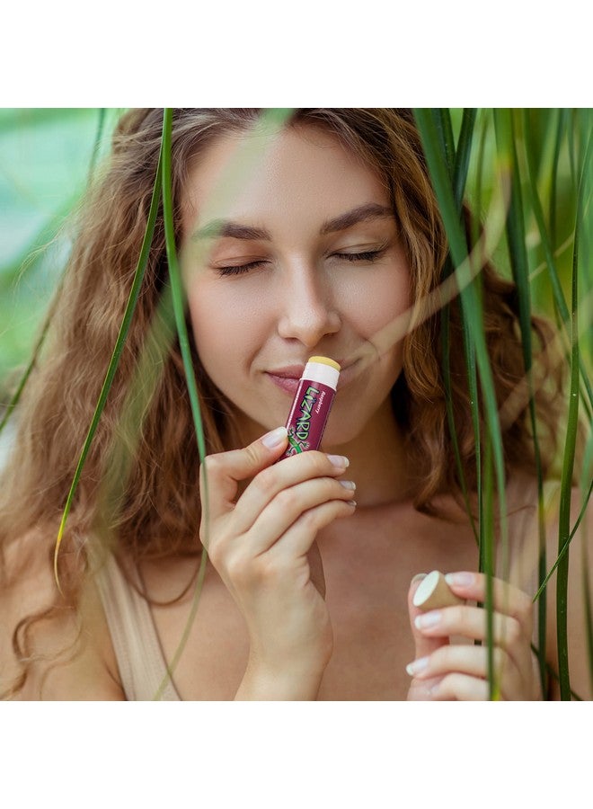 Lizard Lips USDA Certified Organic - 4 Flavor Variety Pack - Image 3