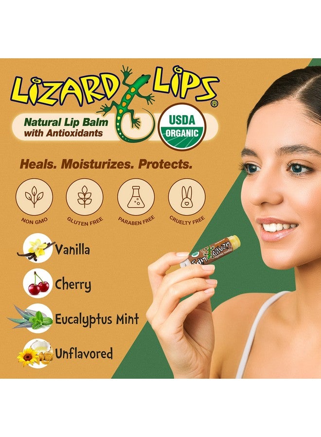 Lizard Lips USDA Certified Organic - 4 Flavor Variety Pack - Image 2