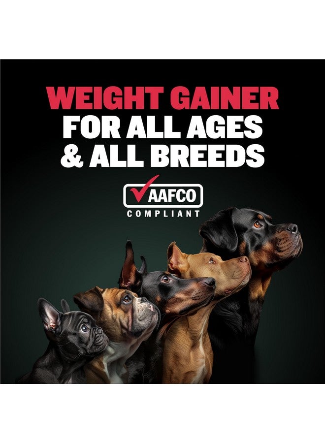 Bully Max Weight Gainer Liquid for Puppies & Adult Dogs - 2-in-1 High Calorie Multivitamin Dog Supplements & Vitamins for Weight Gain with Omega 3 & Whey Protein for All Breeds & Ages - 16 oz Bag - Image 2