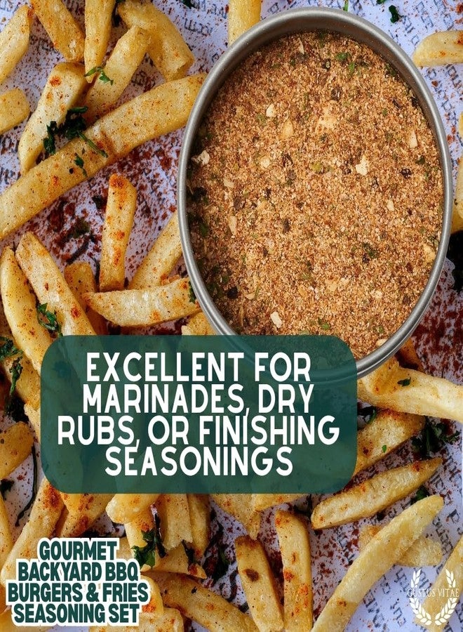 GUSTUS VITAE Gourmet Backyard BBQ Burgers & Fries Seasoning Set - Six Pack | Authentic Small Batch Seasoning Mixes - Built For Grilling | 6 Gourmet All Natural Spice Blends - | Hand Packed, Non GMO | GLP-1 Friendly | Sustainably Sourced, Made in USA | Artisanal Spice Blends, Marinades, and Rubs | Gustus Vitae | All Occasion Gift - Image 3