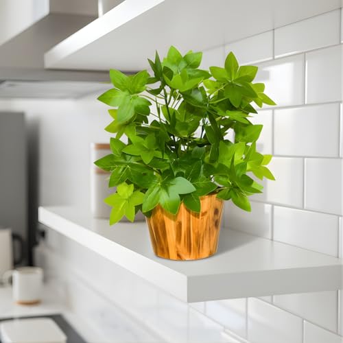 fancymart Artificial Plant Leaves in Wooden Pot Perfect Potted Decoration for Home Living Room & Office Spaces Décor Height - 26cm - Image 1