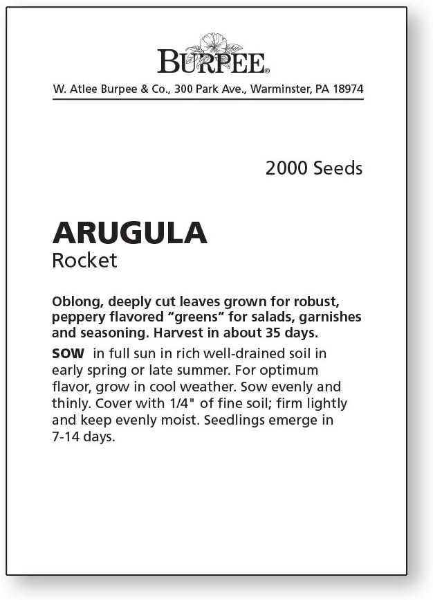 Burpee Rocket Arugula Seeds 2000 seeds - Image 4
