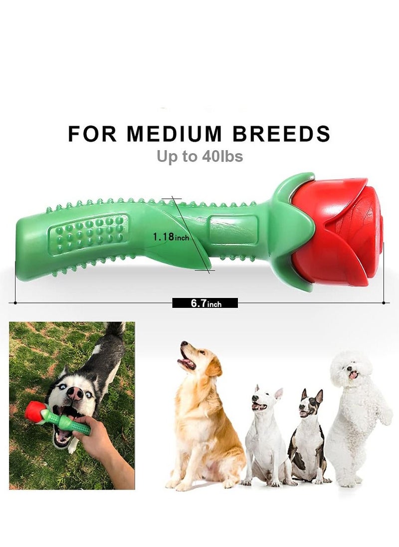 SYOSI - Dog Chew Toy, Dog Toothbrush Stick Teeth Cleaning Brush Teeth for Small Medium Large Dog Puppy Birthday Gift Training Pool Floating Chew Toy Training Pool Floating Chew Toy - Image 1